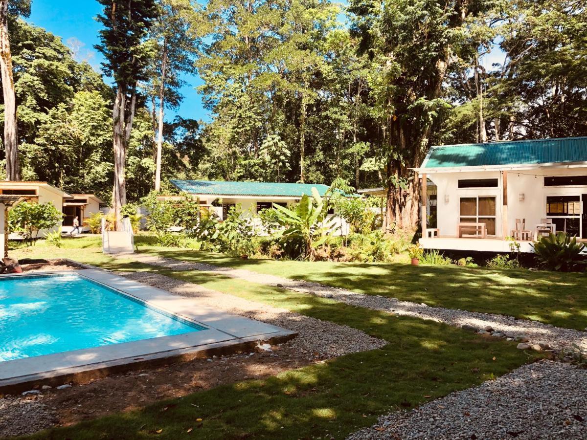 Sonora Jungle & Yoga Retreat Villa Puerto Viejo de Talamanca Exterior photo