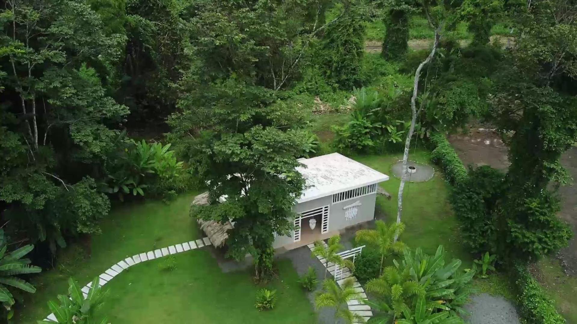 Sonora Jungle & Yoga Retreat Villa Puerto Viejo de Talamanca Exterior photo